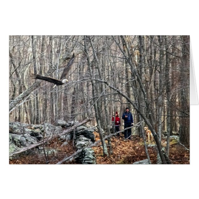 Encuentro de águila calva (Anverso (Horizontal))