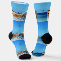 Encuentro De Oso Polar, Calcetines De La Tripulaci