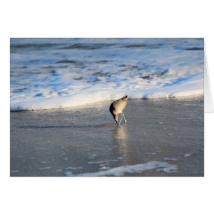 Encuesta interesante de Willet