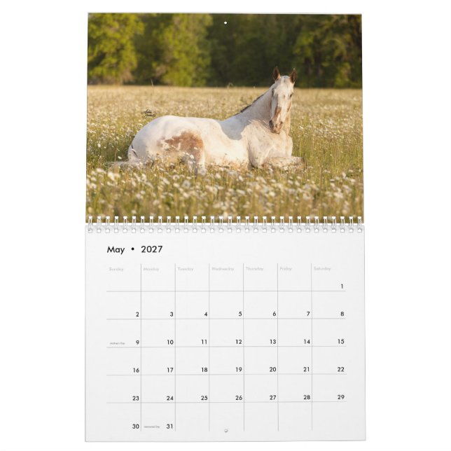Endo El Calendario Ciego 2023 (May 2027)