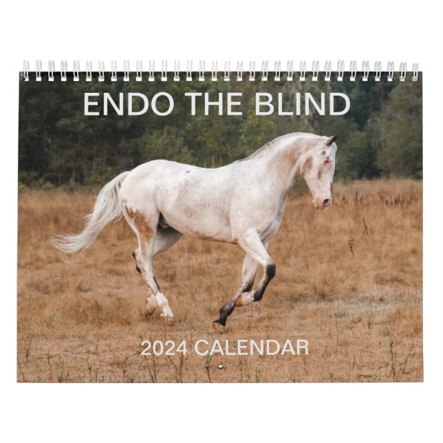 ENDO EL CIEGO - Calendario 2024 (Tapa)