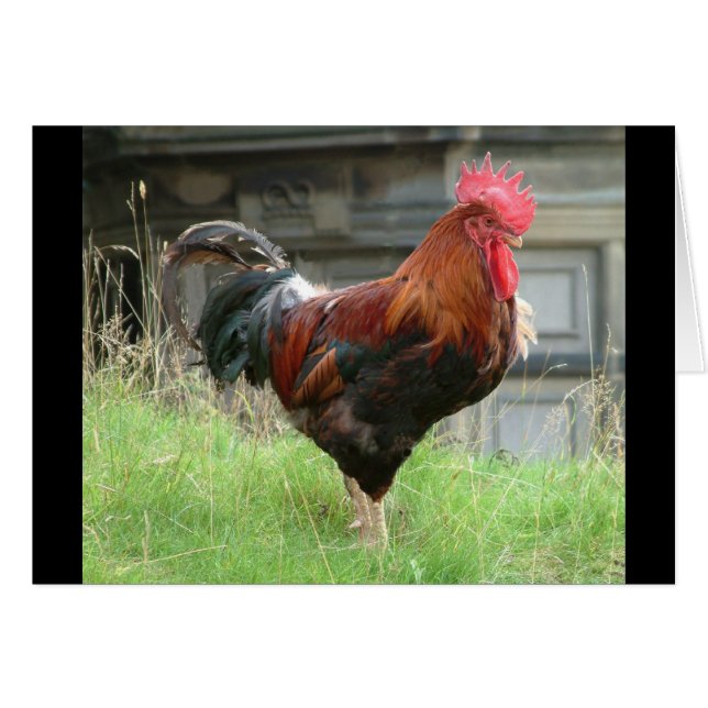 Endurecer mis cosas (Anverso (Horizontal))