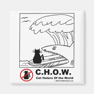 Enemigos del gato que practican surf el imán