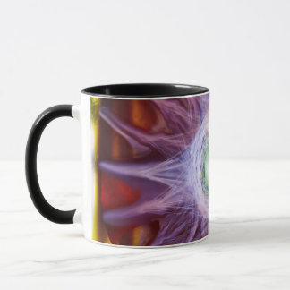 Energía de la Taza de la Estrella