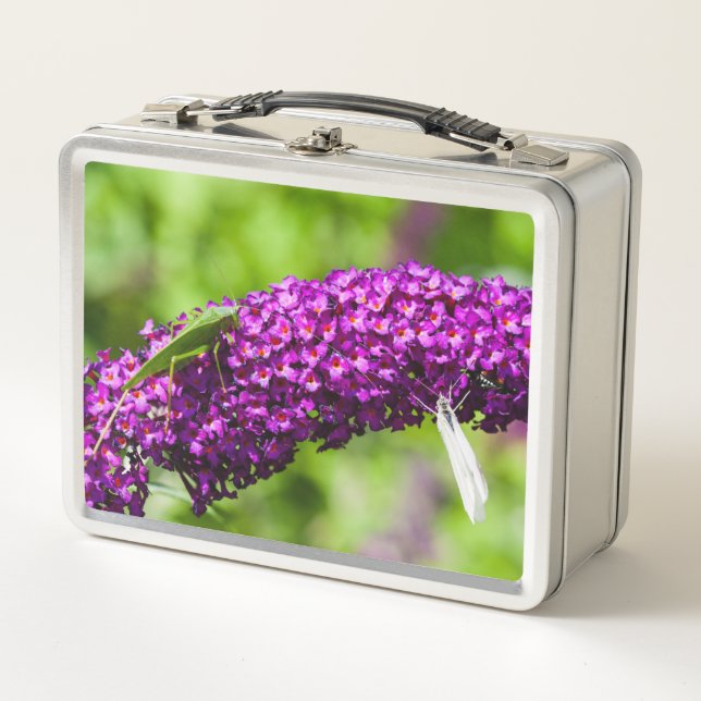 energía katydid (Anverso)