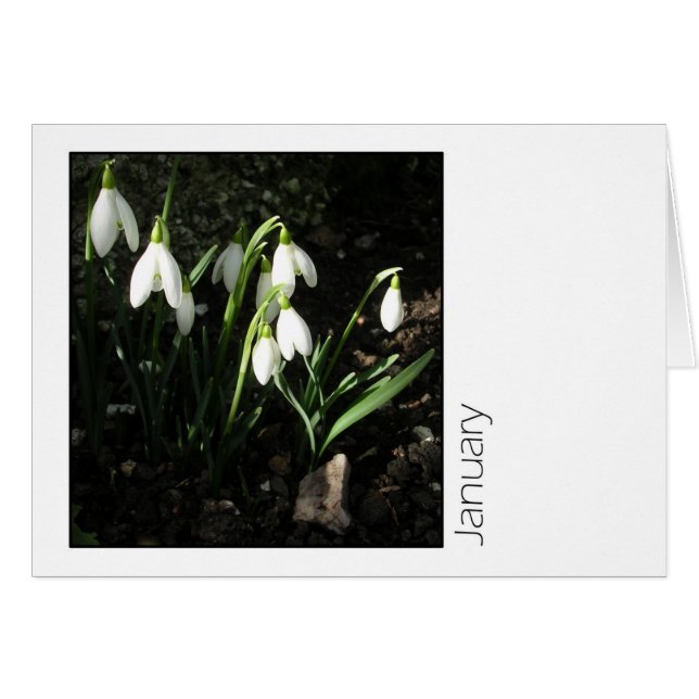 Enero (Anverso (Horizontal))