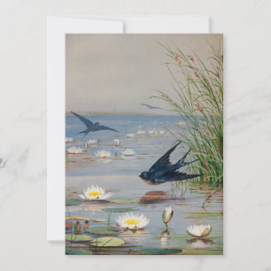 Enero   Fidelia Bridges