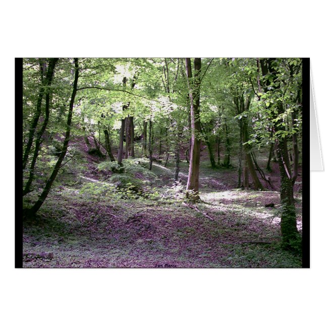 Énfasis en la paz (Anverso (Horizontal))