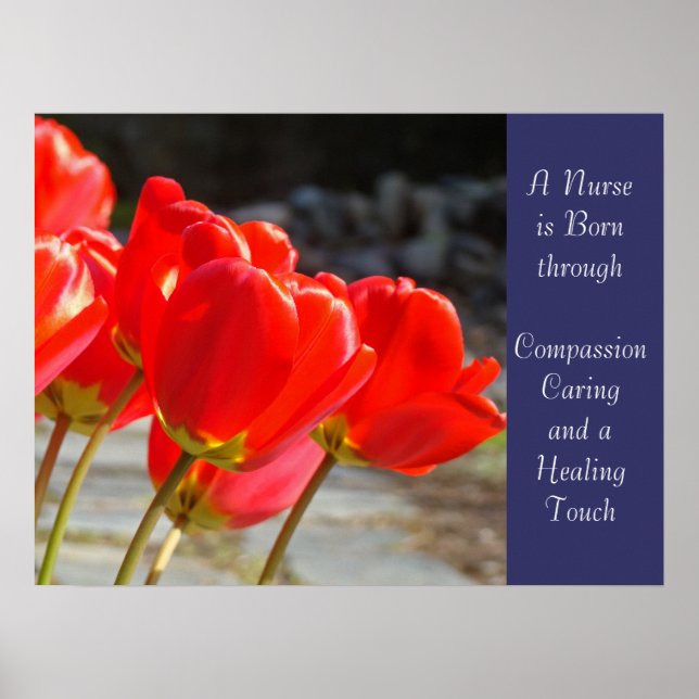 Enfermera nace arte Cuidado Compasión Toque curati (Frente)