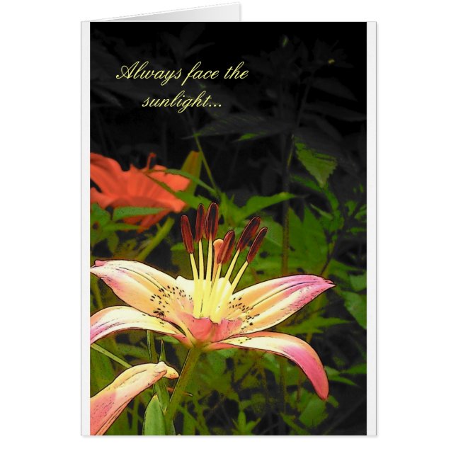 Enfrentar La Luz Del Sol (Frente)