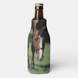 Enfriador De Botellas Caballo cuarto magnífico