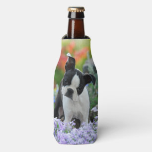 Enfriador De Botellas Foto linda del perrito del perro de Boston