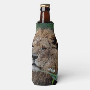 Enfriador De Botellas León 20150805