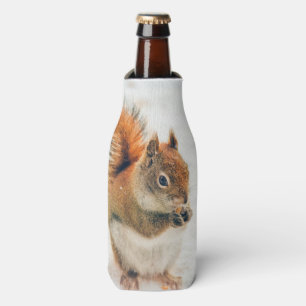 Enfriador De Botellas Pequeña ardilla linda que come nueces