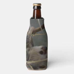 Enfriador De Botellas Pereza que cuelga de una rama