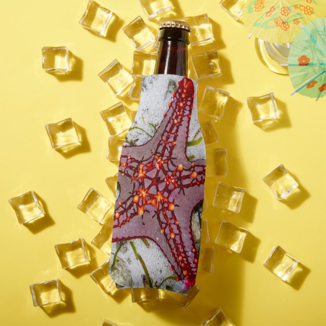 Enfriador De Botellas Starfish, Zanzíbar, Tanzania (Verano in situ)