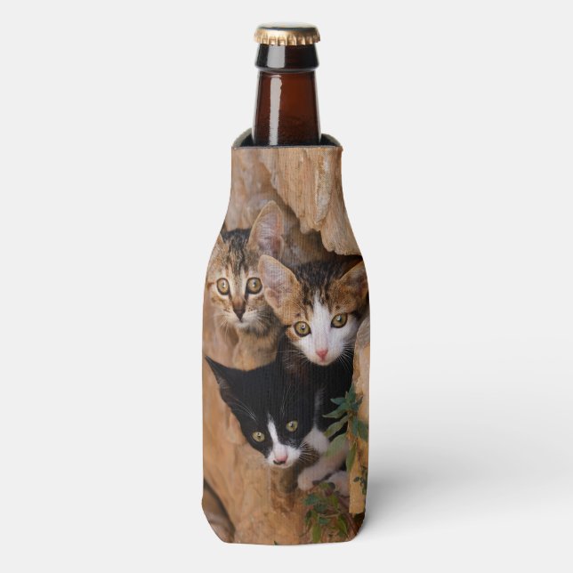 Enfriador De Botellas Tres lindos gatitos curiosos (Frente de la botella)
