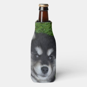 Enfriador De Botellas Una cachorro de Malamute muy tierno
