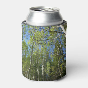 Enfriador De Latas Abedules de verano en Rocky Mountain
