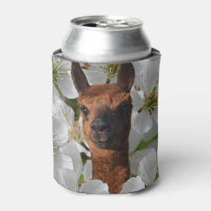 Enfriador De Latas Alpaca Joven Marrón En Flores Blancas,