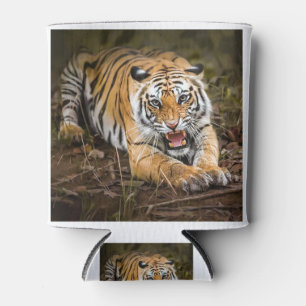 Enfriador De Latas Angry Tiger Animal Wild Predator Cat Wildlife