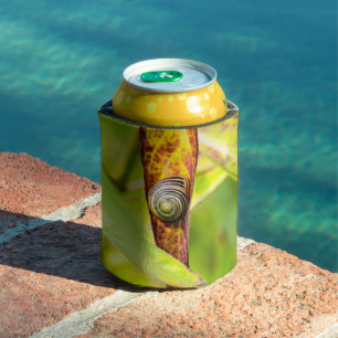 Enfriador De Latas apego