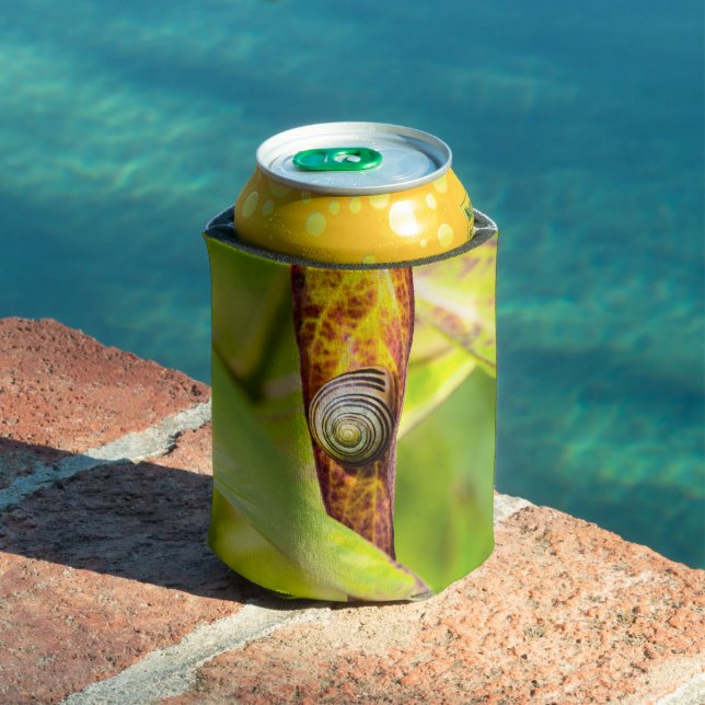 Enfriador De Latas apego (Piscina in situ)