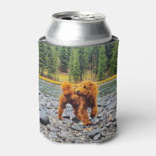 Enfriador De Latas Apricot Poodle - Regalo de Personalizable