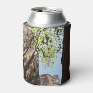 Enfriador De Latas Árbol creciendo entre rocas en el Parque Nacional