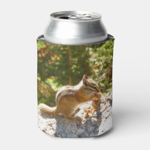 Enfriador De Latas Ardilla de la Montaña Rocosas