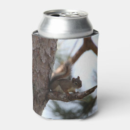 Enfriador De Latas Ardilla en un pino