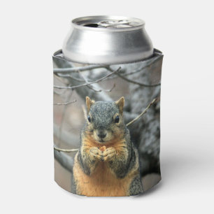 Enfriador De Latas Ardilla que come una nuez