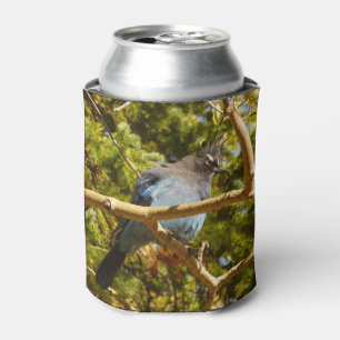 Enfriador De Latas Arrendajo de Steller en el Parque Nacional de las 