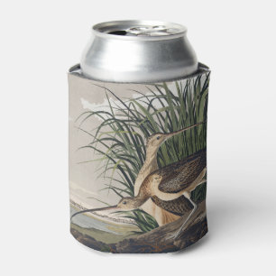 Enfriador De Latas Arte de ave de Audubon de Zarapito de Pico Largo V