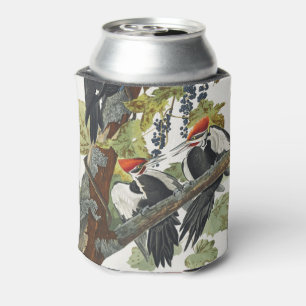 Enfriador De Latas Arte de pájaro carpintero pileado Audubon vintage
