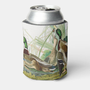 Enfriador De Latas Arte de vida silvestre del pato silbón de Audubon 