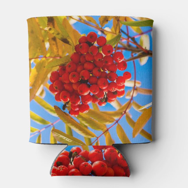 Enfriador De Latas Ashberry (Reverso)