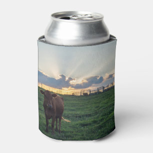 Enfriador De Latas Atardecer en granja de ganado
