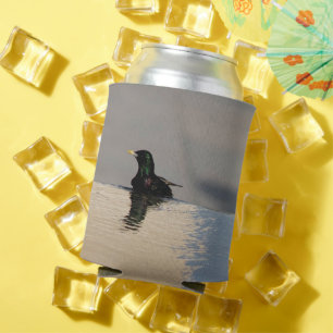 Enfriador De Latas Aves en el borde del agua