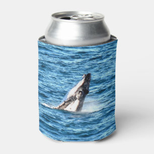 ENFRIADOR DE LATAS BALLENA JOROBADA QUEENSLAND AUSTRALIA