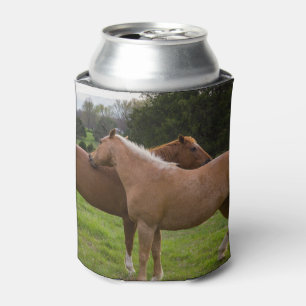 Enfriador De Latas Bellezas de baño