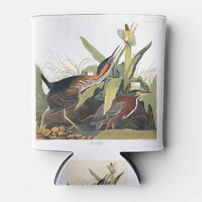 Enfriador De Latas Birds of America (1827) by John James Audubon (Anverso)