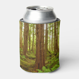 Enfriador De Latas Bosque tropical templado de Alaska