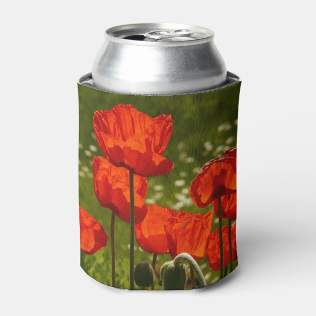 Enfriador De Latas Bright Poppies Close Up Photo (Lata Anverso)