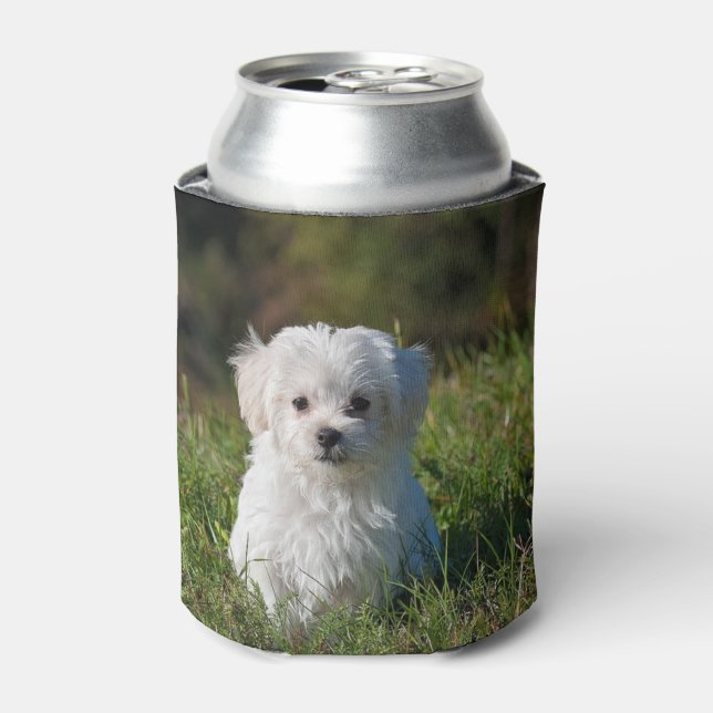 Enfriador De Latas Cachorro blanco lindo (Lata Anverso)