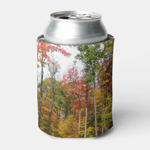 Enfriador De Latas Caída en la colorida fotografía de otoño en el bos
