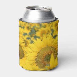 Enfriador De Latas Campo amarillo de girasoles, fotografía