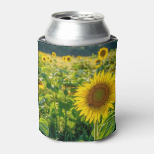 Enfriador De Latas Campo de girasol dorado