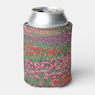Enfriador De Latas Campo De Tulipanes