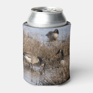 Enfriador De Latas Canadiense Geese Snack Time